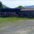 Baigura y Hartzamendi (306)