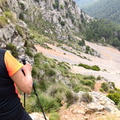 Puig Tomir (261)