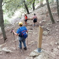 Puig Tomir (263)