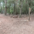 Puig Tomir (264)