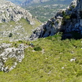 Puig Roig (256)