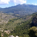 Puig Roig (259)