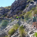 Puig Roig (260)