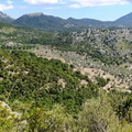 Puig Roig (261)