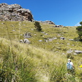 Puig Roig (262)