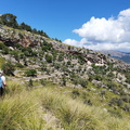 Puig Roig (264)