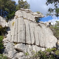Puig Roig (270)