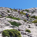 Puig de Sa Rateta (254)