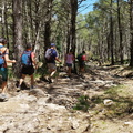Puig de Sa Rateta (261)