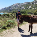 Puig de Sa Rateta (263)
