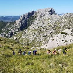 30  Puig des Tossals Verds