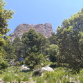 Penyal des Migdia (264)