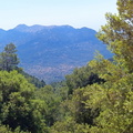 Penyal des Migdia (265)