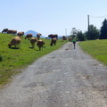 Area recreativa de Urto-Berastegi (264)