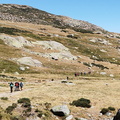 La Mira (208)