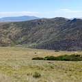 Morezón (203)