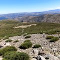 Morezón (206)