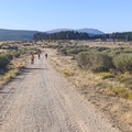 Serrota (201)