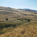 Serrota (213)