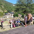 Baborte (202)