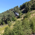 Baborte (205)