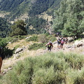 Baborte (213)