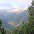 Pica destats (202)