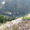 Pica destats (203)