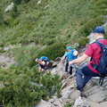 Pica destats (205)