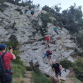 Pica destats (207)