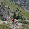 Pica destats (208)