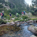Pica destats (209)