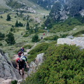 Pica destats (210)
