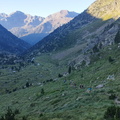 Pica destats (211)