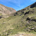 Certascan (217)