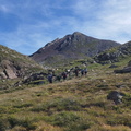 Certascan (219)