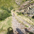 Certascan (228)
