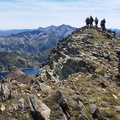 Certascan (243)