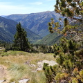 Certascan (269)