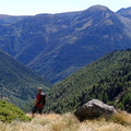 Certascan (272)