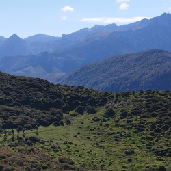 25-10-11 Picos de Europa