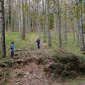 Tolosa-Berastegi (258)