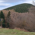 Tolosa-Berastegi (261)