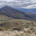 Tolosa-Berastegi (274)