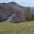 Tolosa-Berastegi (275)