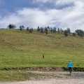 Tolosa-Berastegi (278)