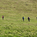 Tolosa-Berastegi (279)