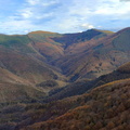 Tolosa-Berastegi (282)