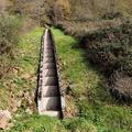 Tolosa-Berastegi (294)