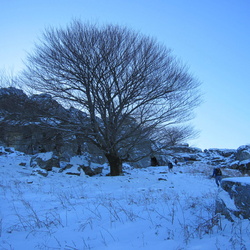 09-12-20 Baigura-Hatzamendi